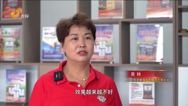 黃林：以品質(zhì)破局 “三只虎”銷(xiāo)量逆勢(shì)狂飆3倍