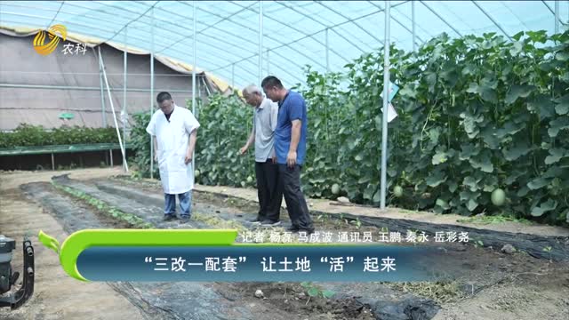 “三改一配套” 讓土地“活”起來(lái)