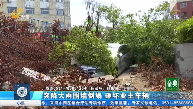 昌樂：突降大雨圍墻倒塌 砸壞業主車輛