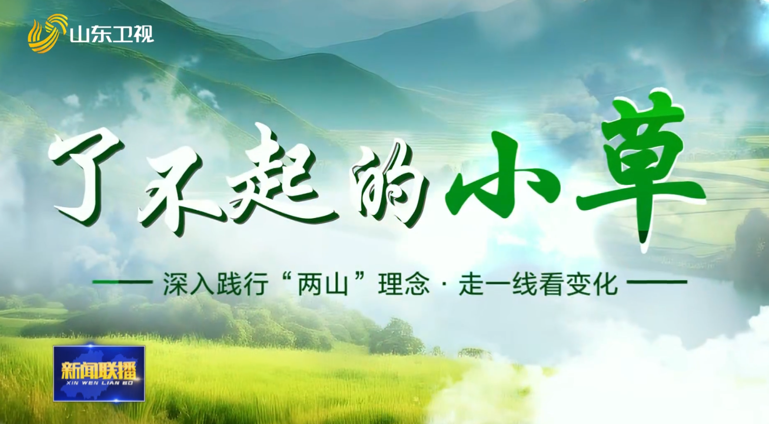 母亲河畔的净水卫士【了不起的小草】