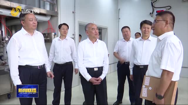 林武在临沂调研时强调 加强科技创新推动产业升级 促进经济社会持续健康发展