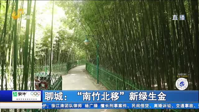 聊城：“南竹北移” 新绿生金