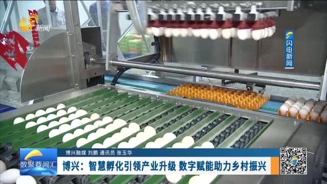 数字强省建设｜数字变革创新：博兴——智慧孵化引领产业升级 数字赋能助力乡村振兴