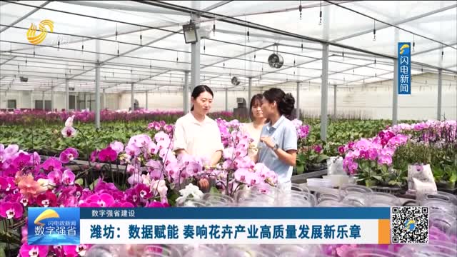 数字强省建设｜数字变革创新：潍坊——数据赋能 奏响花卉产业高质量发展新乐章