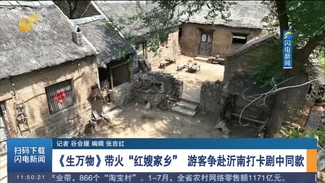 《生萬物》帶火“紅嫂家鄉(xiāng)” 游客爭(zhēng)赴沂南打卡劇中同款