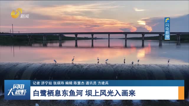 白鷺棲息東魚河 壩上風光入畫來