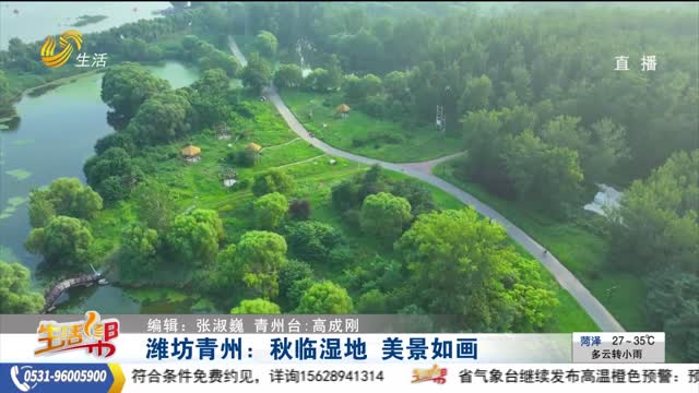 濰坊青州：秋臨濕地 美景如畫