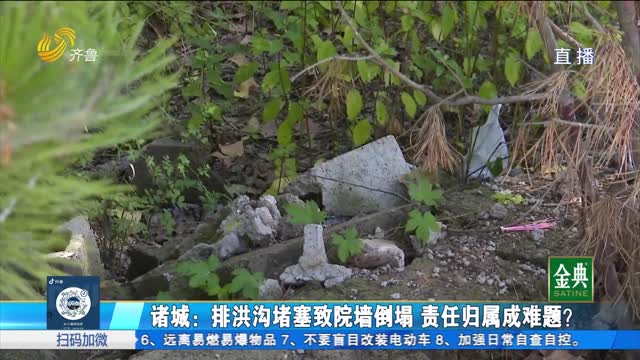 【現(xiàn)場調(diào)查】諸城：排洪溝堵塞致院墻倒塌 賠償責(zé)任如何認定？
