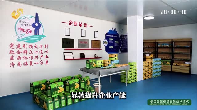 【东西协作 “鲁”力同“甘”】甘肃省临夏州东乡县：高原农产走出大山