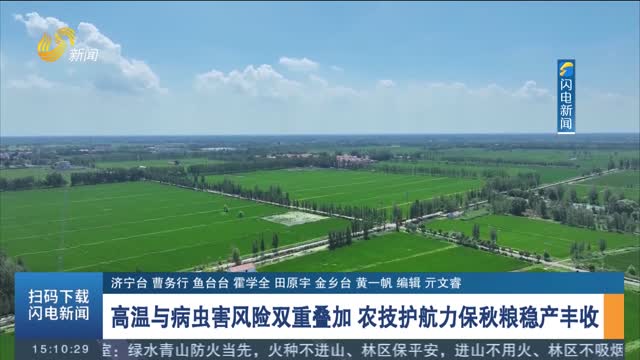 高温与病虫害风险双重叠加 农技护航力保秋粮稳产丰收