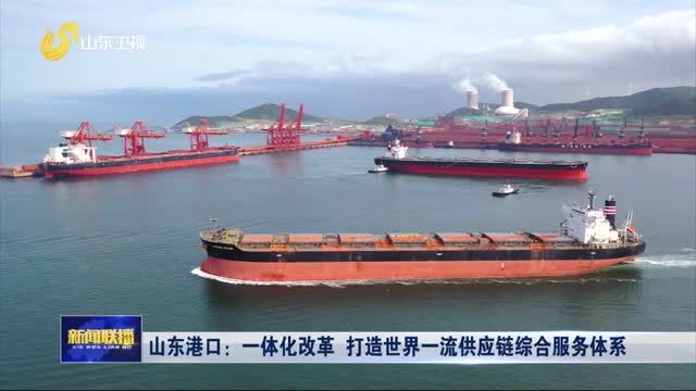 山东港口：一体化改革 打造世界一流供应链综合服务体系