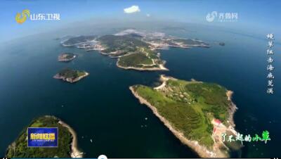 鳗草阻击海底荒漠【了不起的小草】