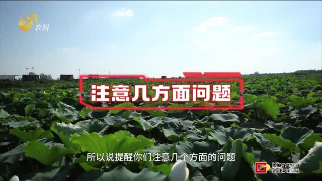 山東省婦聯(lián)巾幗科技助農(nóng)興農(nóng)直通車走進聊城
