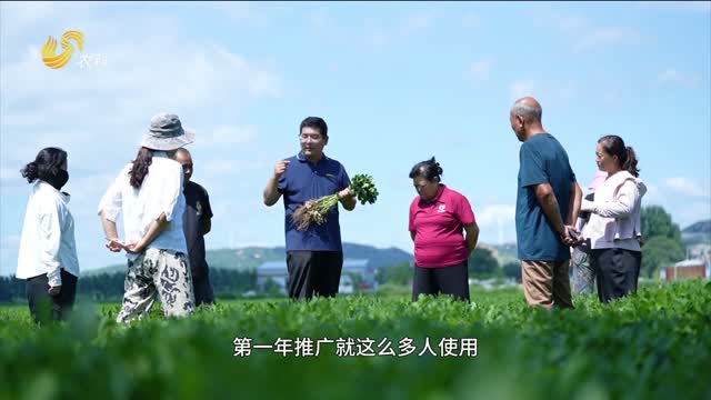從試用到全屯夸 “三只虎”種出好花生