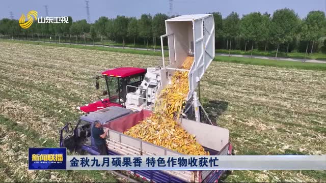金秋九月硕果香 特色作物收获忙