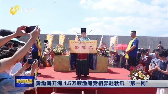 黄渤海开海 1.5万艘渔船竞相奔赴秋汛“第一网”