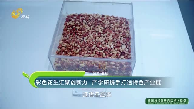 彩色花生匯聚創新力 產學研攜手打造特色產業鏈