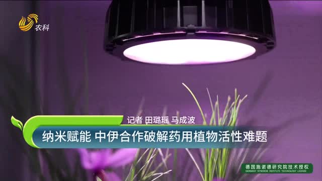 納米賦能 中伊合作破解藥用植物活性難題