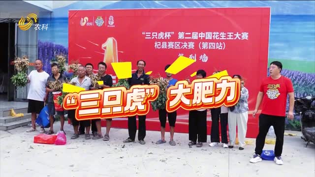 【2025 “三只虎”杯中國花生王大賽】河南杞縣賽區：花生產量高 品質好