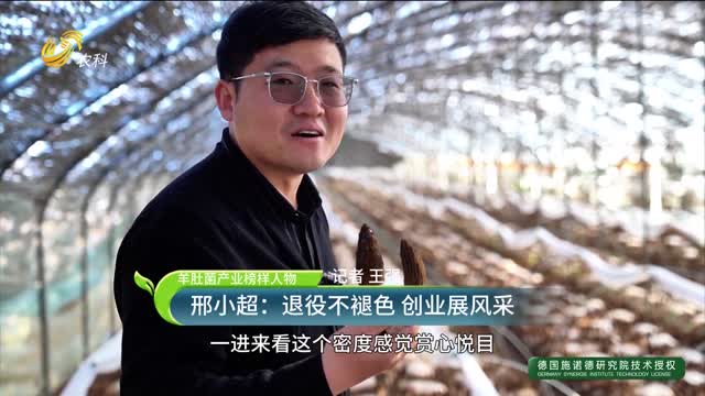 【羊肚菌產業榜樣人物】邢小超：退役不褪色 創業展風采