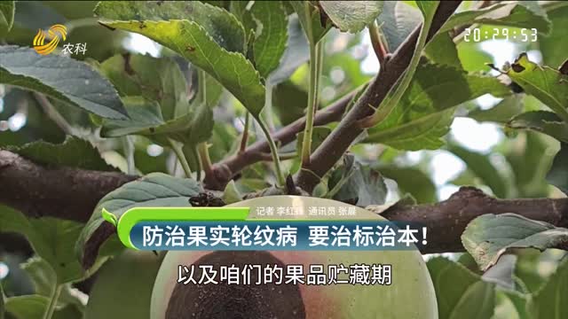 防治果實輪紋病 要治標治本