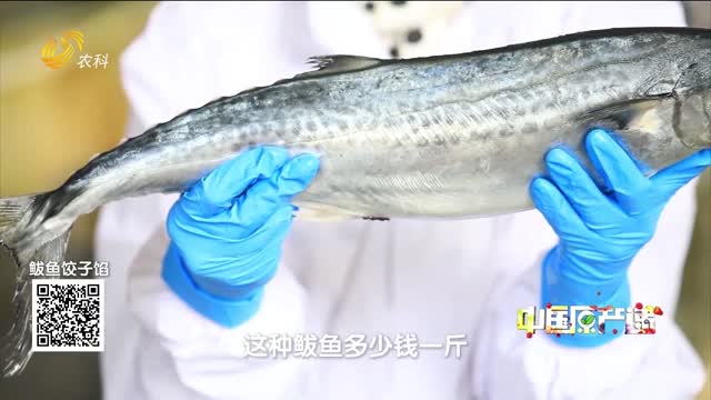 20250906《中国原产递》：鲅鱼饺子馅