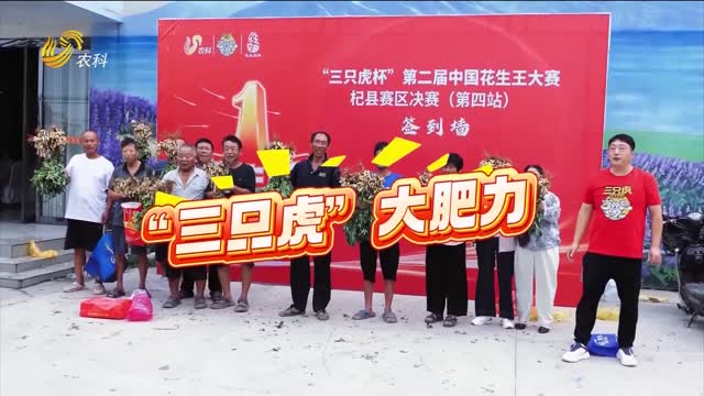 【2025 “三只虎”杯中國花生王大賽】河南杞縣賽區(qū)：花生產(chǎn)量高 品質(zhì)好