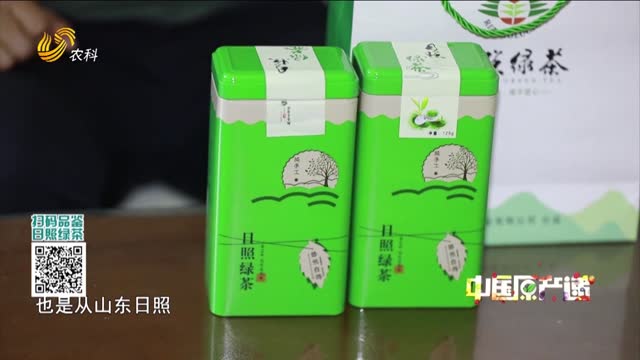 20250907《中国原产递》：日照绿茶