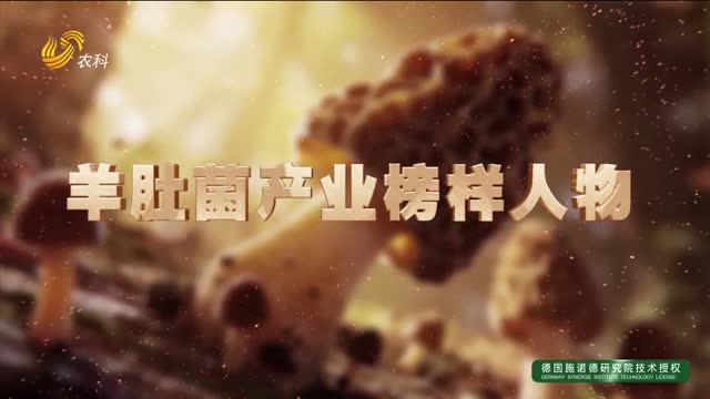 【羊肚菌產(chǎn)業(yè)榜樣人物】湖北李義林：千里取真經(jīng) 八年磨一劍