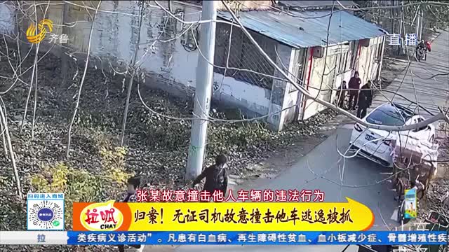歸案！無證司機(jī)故意撞擊他車逃逸被抓