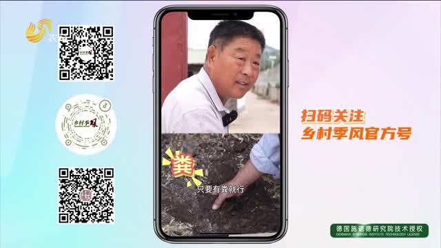 【蒙陰?中國桃鄉 2025蜜桃成熟季】“一種雙養” 羊糞成寶