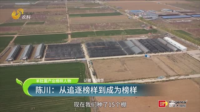 【羊肚菌產業榜樣人物】陳川：從追逐榜樣到成為榜樣