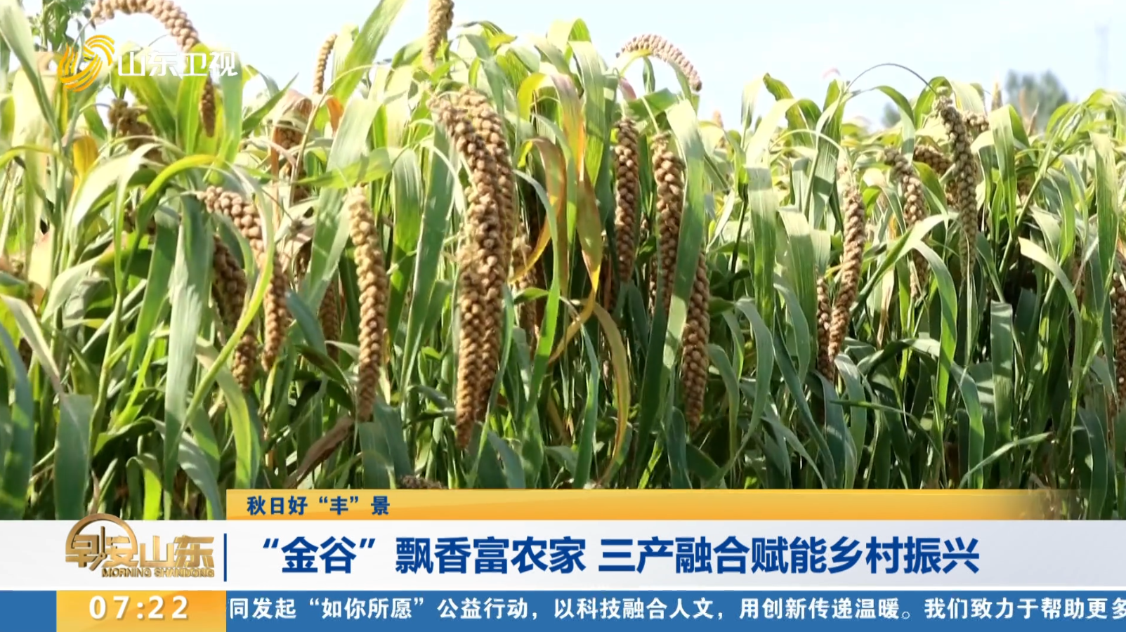 【秋日好“豐”景】“金谷”飄香富農家 三產融合賦能鄉村振興