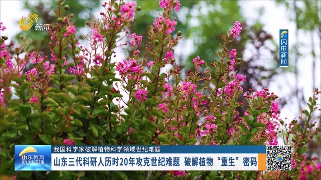 山东三代科研人历时20年攻克世纪难题 破解植物 “重生”密码