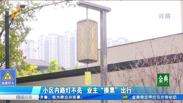 泰安：小区内路灯不亮 业主“摸黑”出行