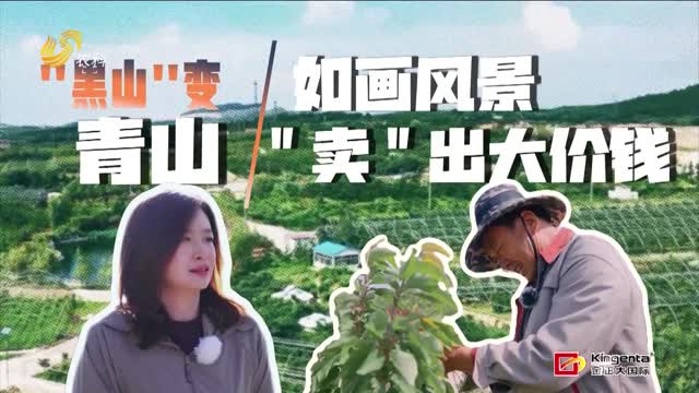 “黑”山变青山 如画风景“卖”出大价钱