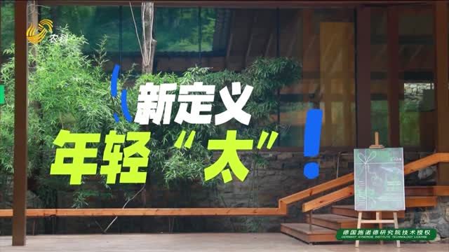 淄博市淄川区太河镇：新定义 年轻“太”