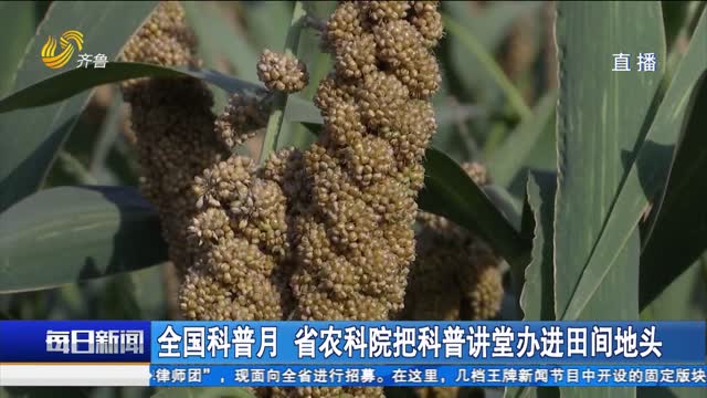 全國科普月 省農科院把科普講堂辦進田間地頭