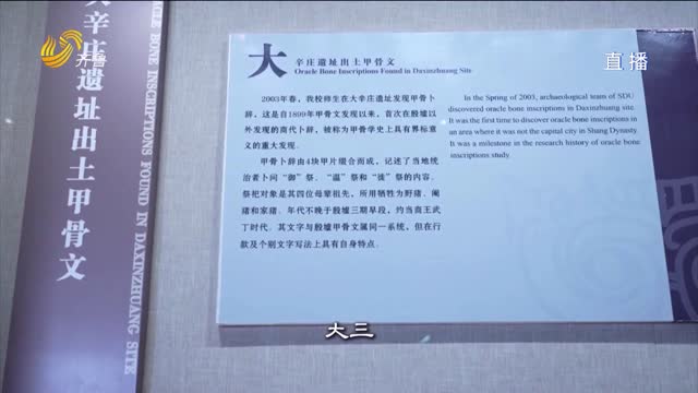 文化中國行｜探訪山大博物館 沉浸山海對話千年