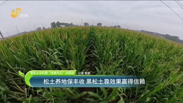 【黑松土活化肥 “效果為王”大回訪(fǎng)】松土養地保豐收 黑松土靠效果贏(yíng)得信賴(lài)