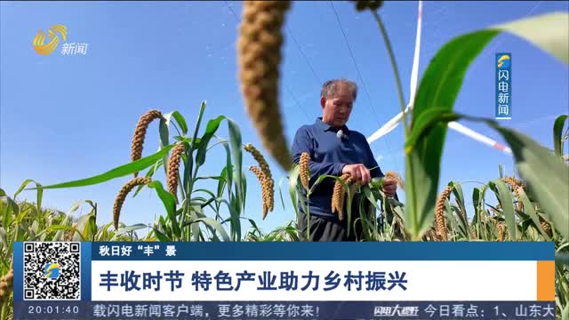【秋日好“丰”景】丰收时节 特色产业助力乡村振兴