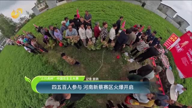 【2025“三只虎杯”中國花生王大賽】四五百人參與 河南新蔡賽區火爆開(kāi)啟