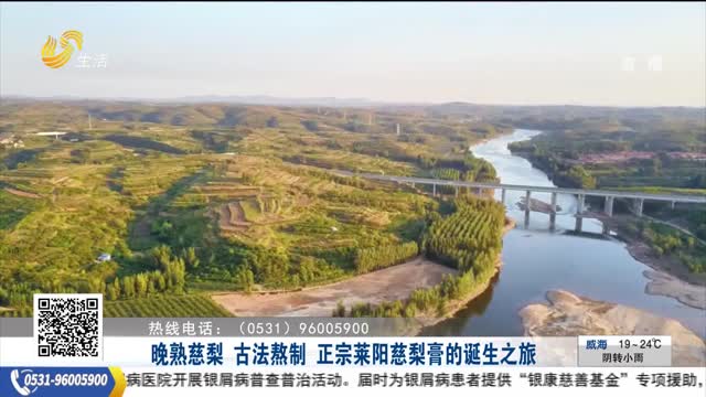 晚熟慈梨 古法熬制 正宗莱阳慈梨膏的诞生之旅