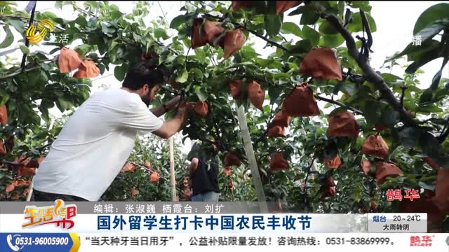 国外留学生打卡中国农民丰收节