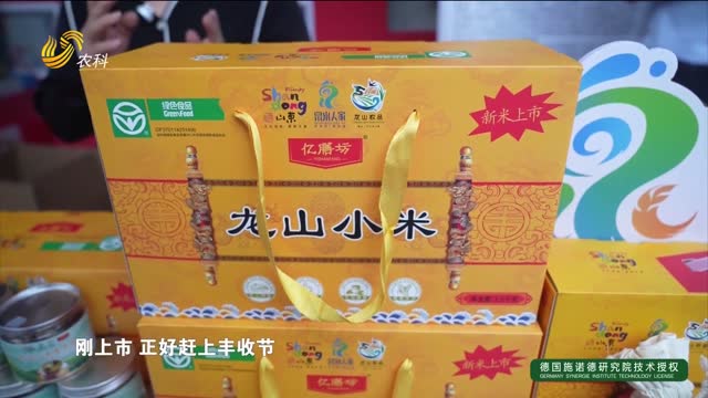 【2025年中國農民豐收節】龍山小米上新 “泉水人家”亮相豐收節