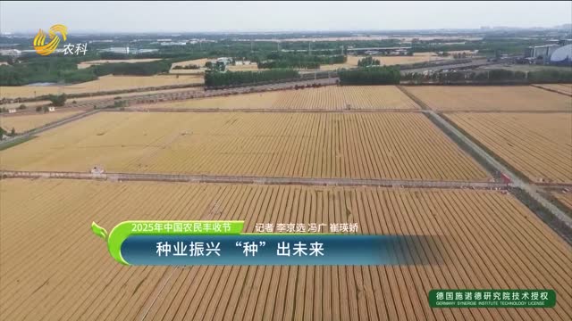【2025年中國農民豐收節】種業振興“種”出未來