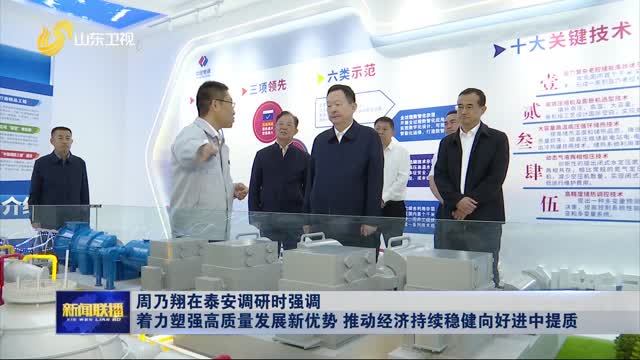 周乃翔在泰安调研时强调 着力塑强高质量发展新优势 推动经济持续稳健向好进中提质