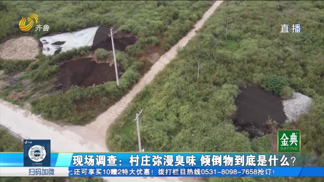 现场调查：村庄弥漫臭味 倾倒物到底是什么？