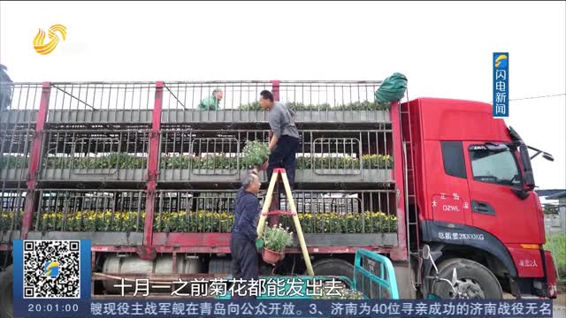 【金秋好“丰”景】特色产业喜丰收 农户增收笑开颜