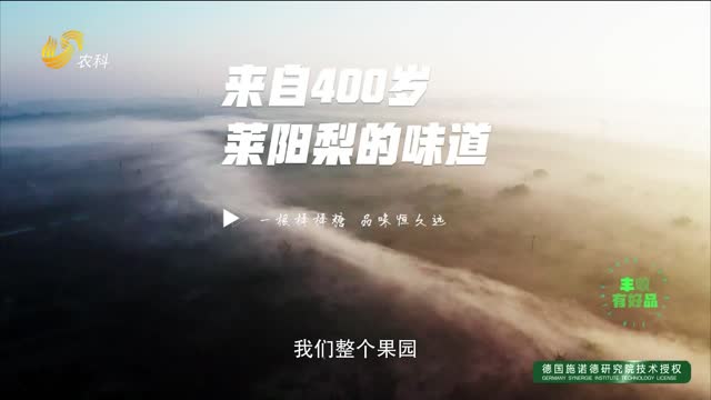 【豐收有好品】來自400歲萊陽梨的味道